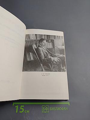 Полное собрание сочинений М. Горького. Том четырнадцатый: Повести. Рассказы 1912-1917