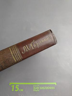 Полное собрание сочинений М. Горького. Том четырнадцатый: Повести. Рассказы 1912-1917