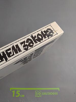 Именем закона. Современный советский детектив