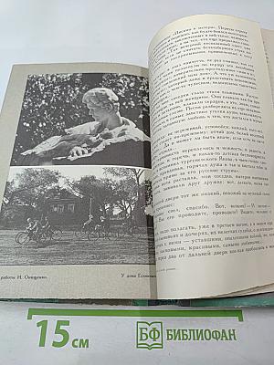 Весенней гулкой ранью... Этюды-раздумья о Сергее Есенине