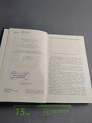 Статьи о русской литературе