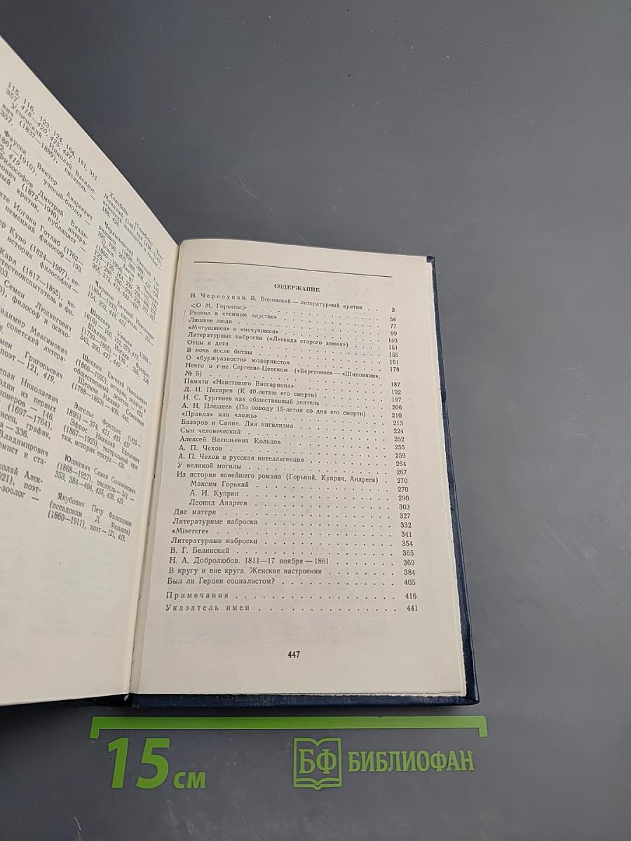 Статьи о русской литературе