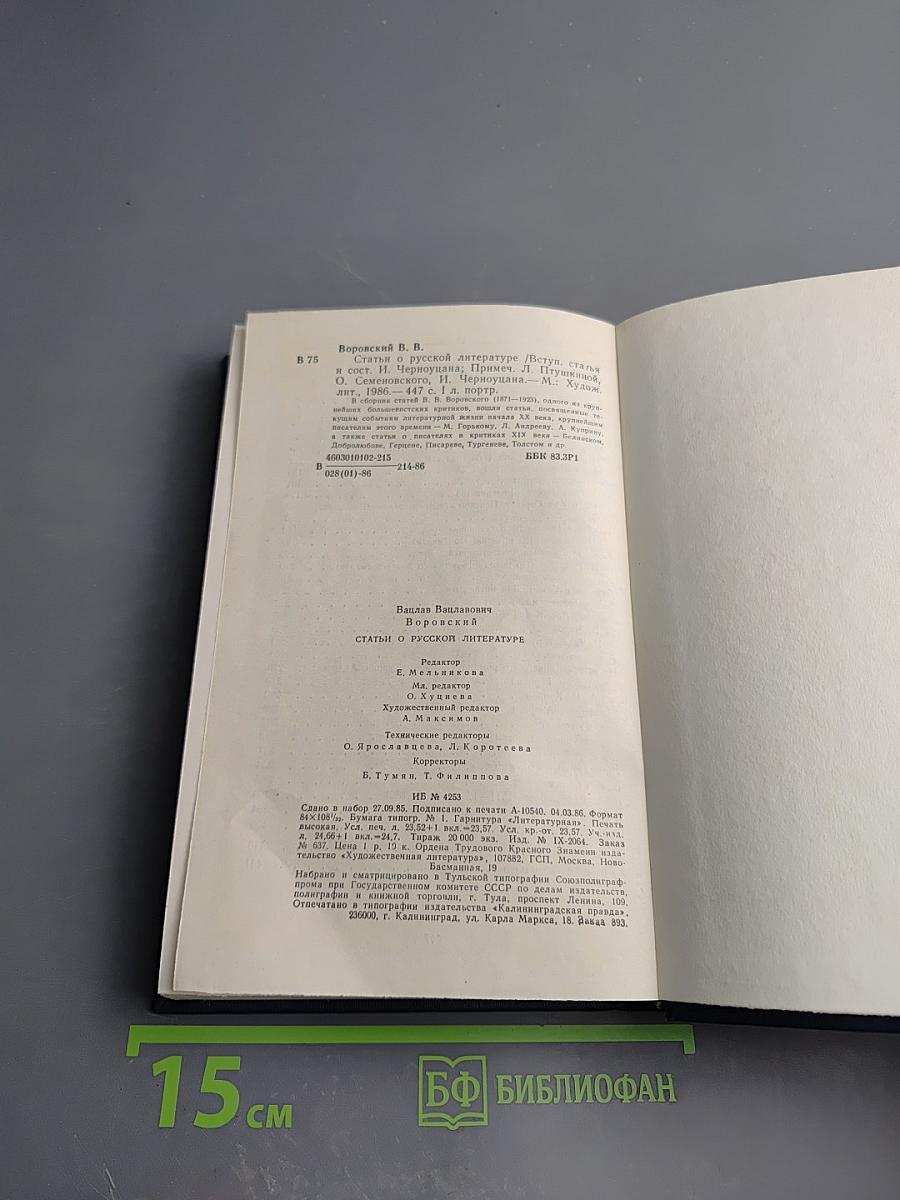 Статьи о русской литературе