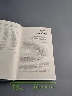 На левом фланге