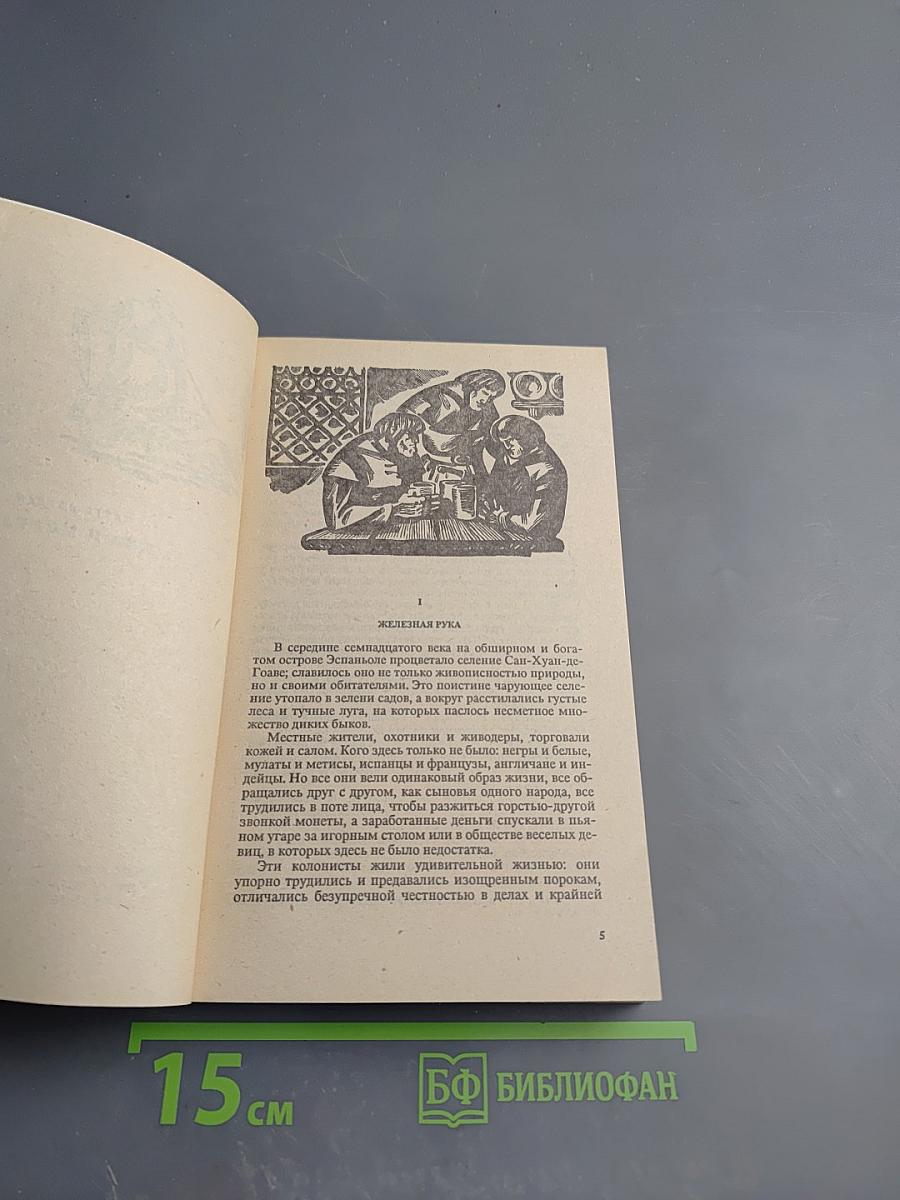 Пираты Мексиканского залива