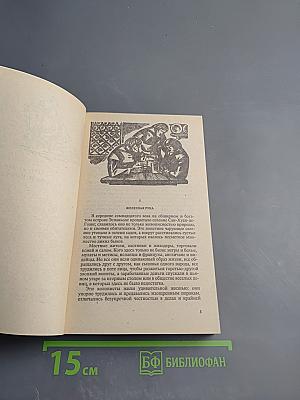 Пираты Мексиканского залива