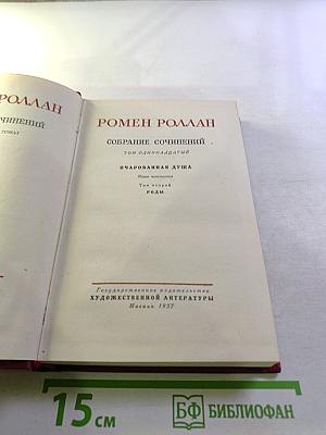 Собрание сочинений. Том одиннадцатый. Очарованная душа. Книга четвёртая. Том второй. Роды