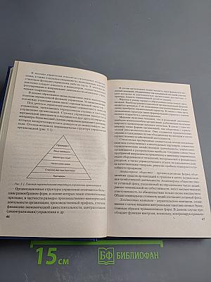 Основы менеджмента