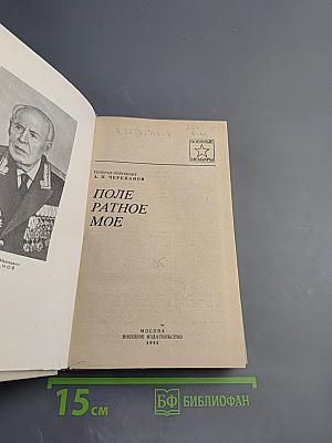 Поле ратное мое