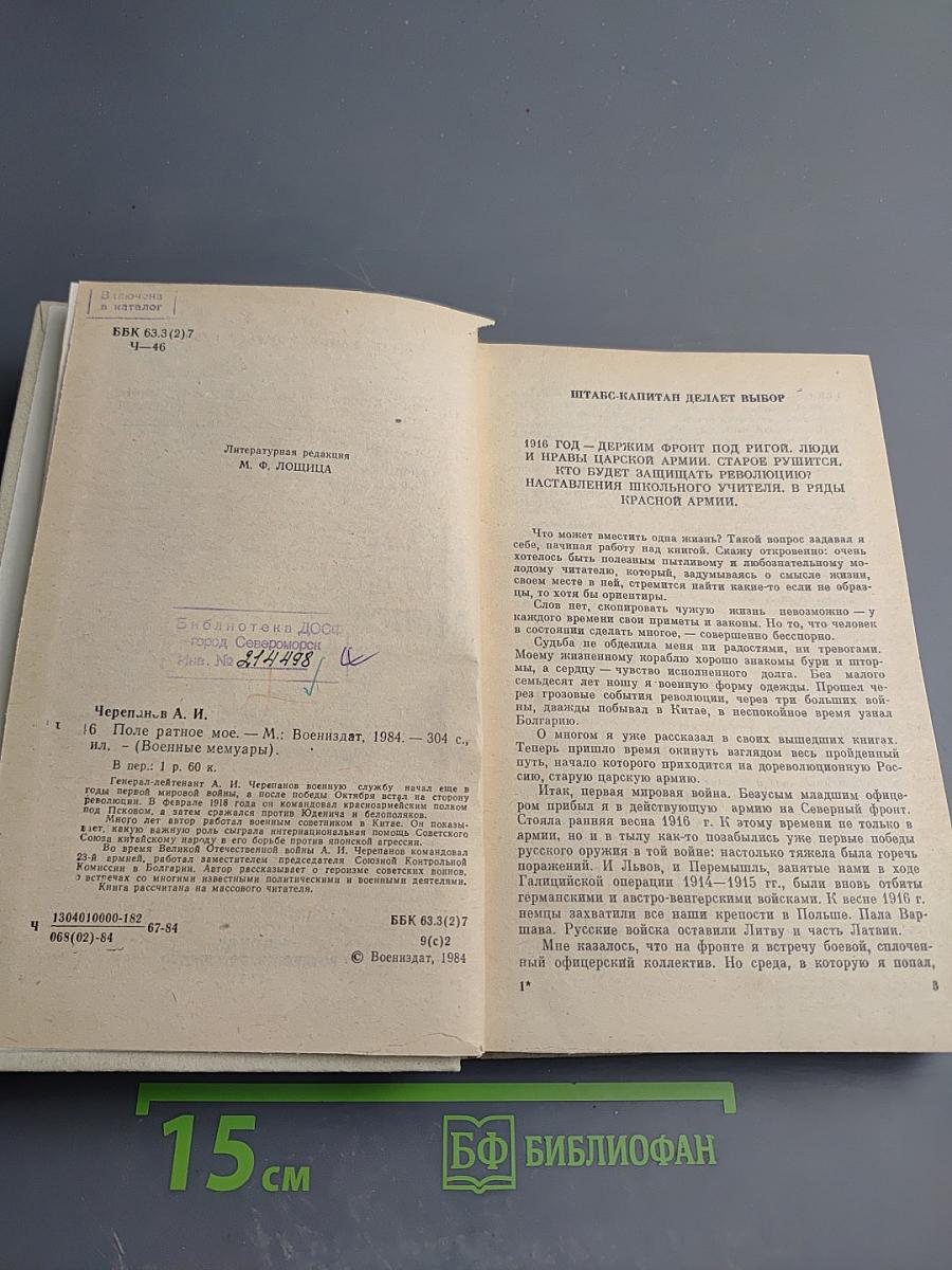 Поле ратное мое