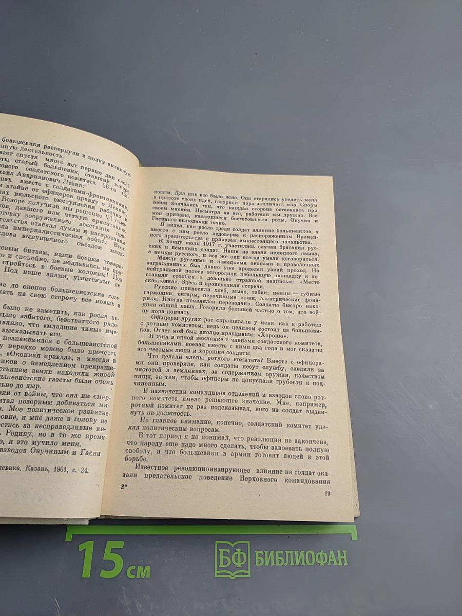 Поле ратное мое