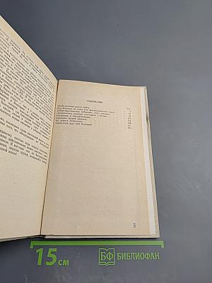 Поле ратное мое