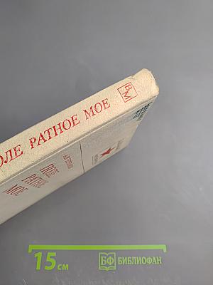 Поле ратное мое