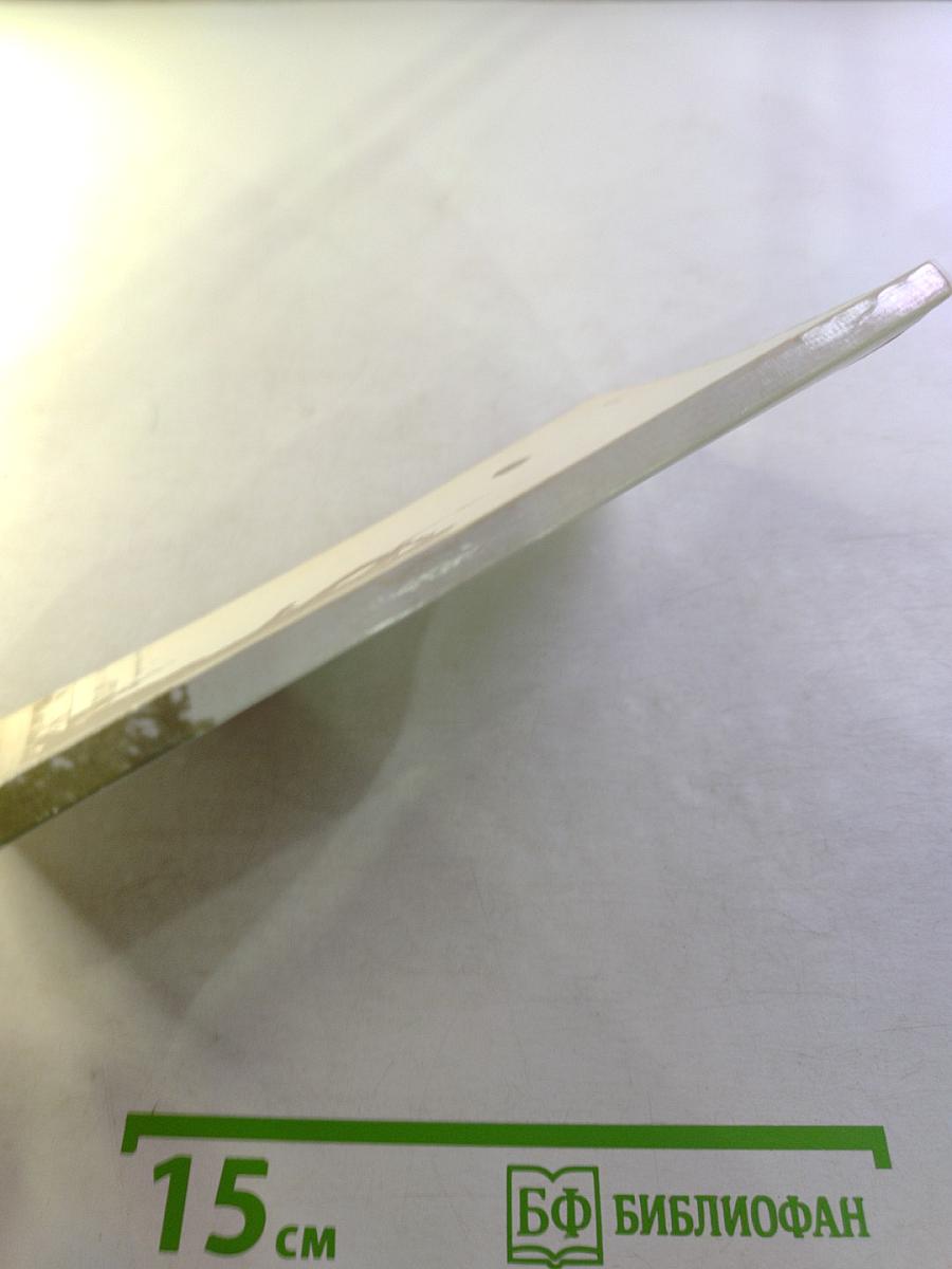 В воротах «Зенита»