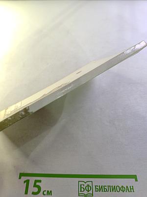 В воротах «Зенита»