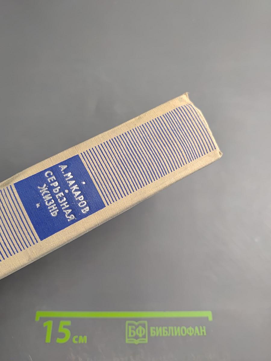 Серьёзная жизнь