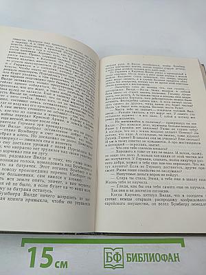 Буря. Том первый