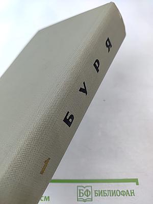 Буря. Том первый