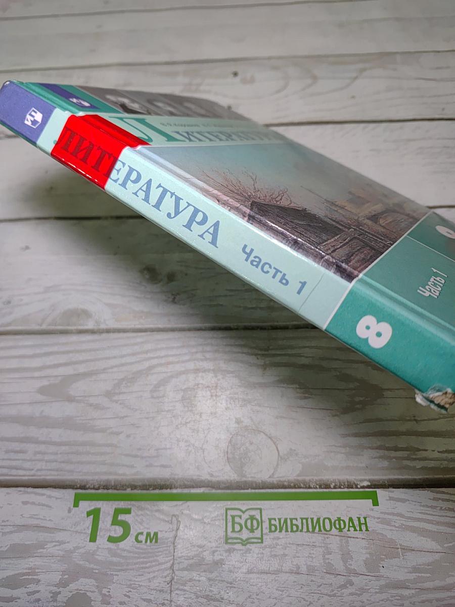 Литература. 8 класс. Часть 1