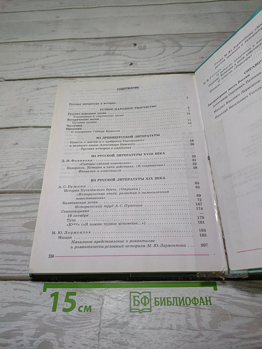 Литература. 8 класс. Часть 1