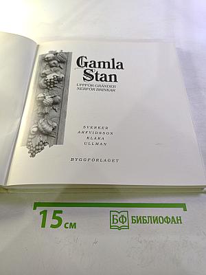 Gamla Stan: Uppför gränder, nerför brinkar