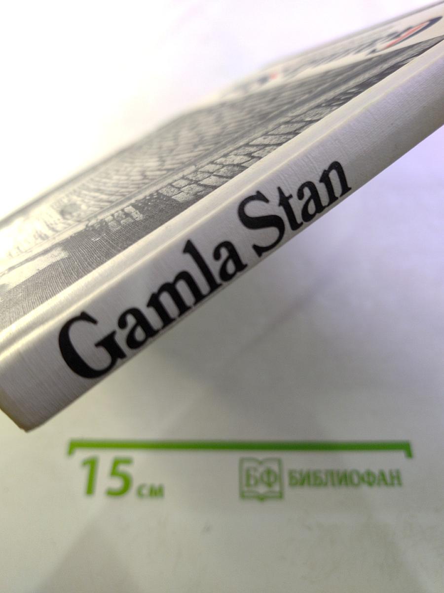 Gamla Stan: Uppför gränder, nerför brinkar