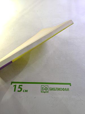 Урок английского на английском. Книга для учителя