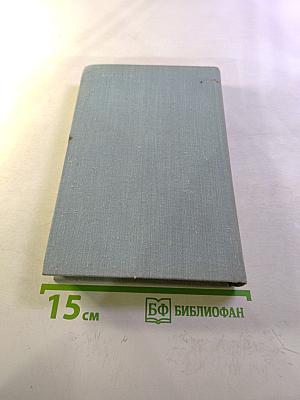 Бой местного значения