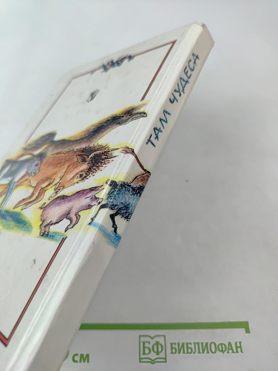 Там чудеса...