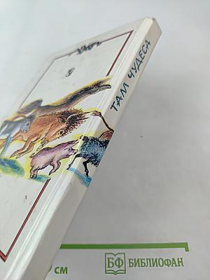 Там чудеса...