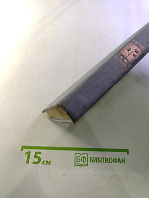 Путь Шеннона