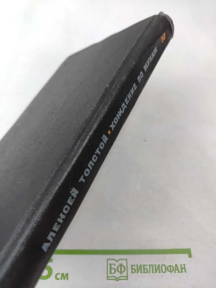 Хождение по мукам. Том второй. Книга третья: Хмурое утро