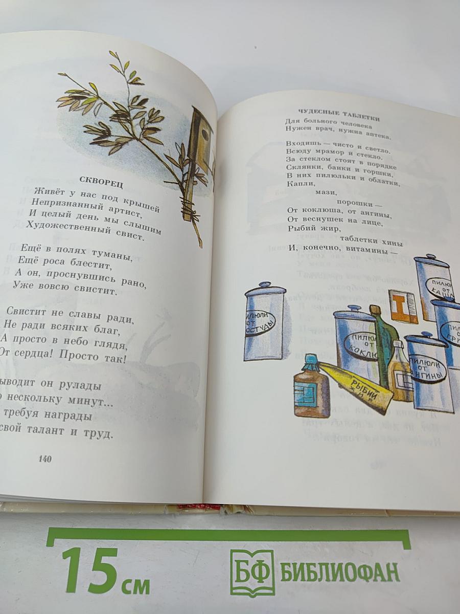 Весёлый день