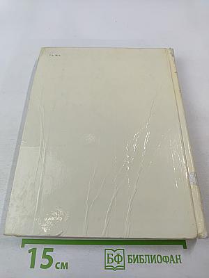 Весёлый день