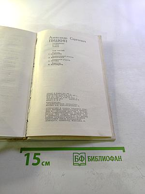 Сочинения Том Третий: Евгений Онегин, Романы и повести, Путешествие в Арзрум