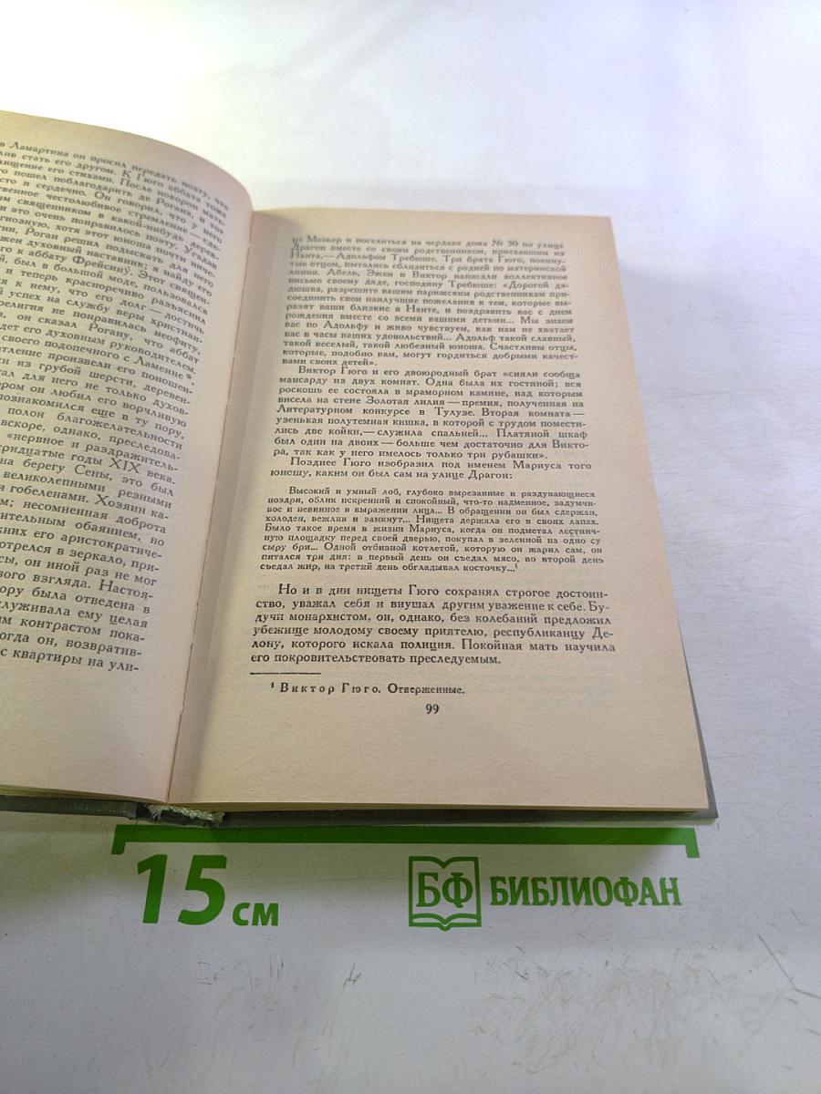 Олимпио, или Жизнь Виктора Гюго