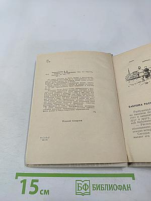 Повесть о Чернышевском