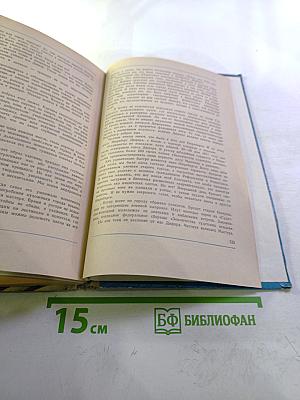 Мир человека