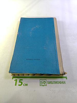 Мир человека