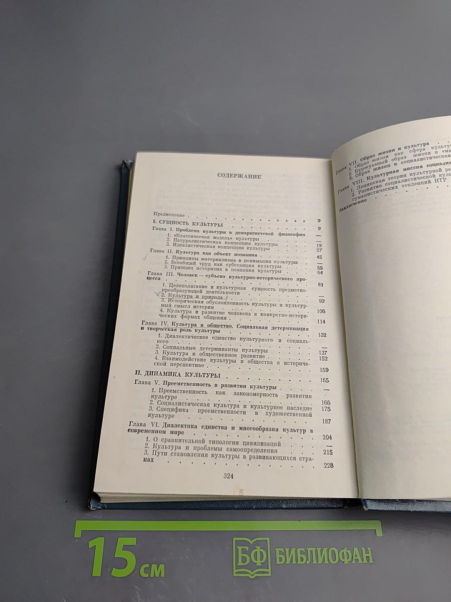 Проблемы философии культуры