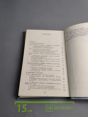 Проблемы философии культуры