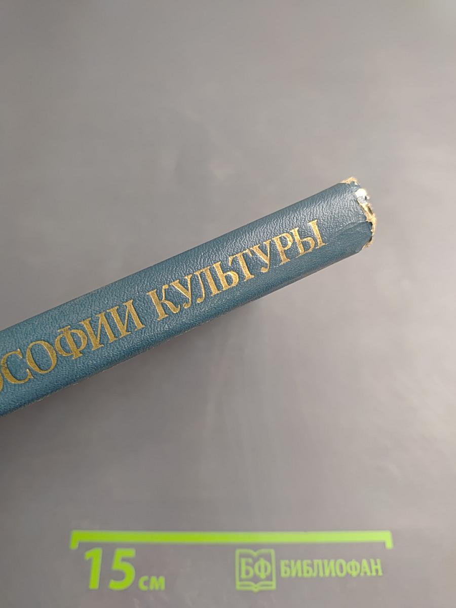 Проблемы философии культуры