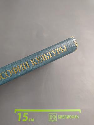 Проблемы философии культуры