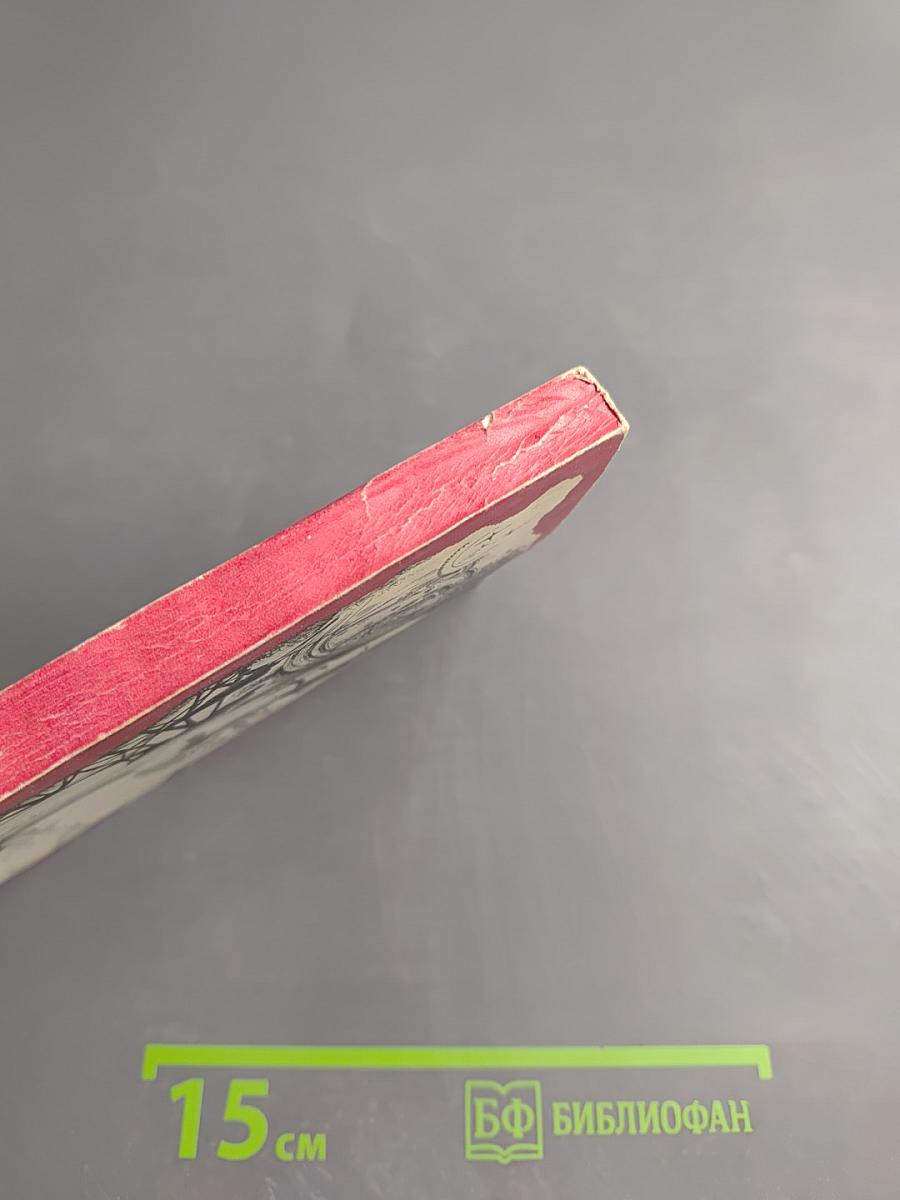 Миг звездный и земной