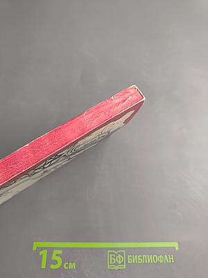 Миг звездный и земной