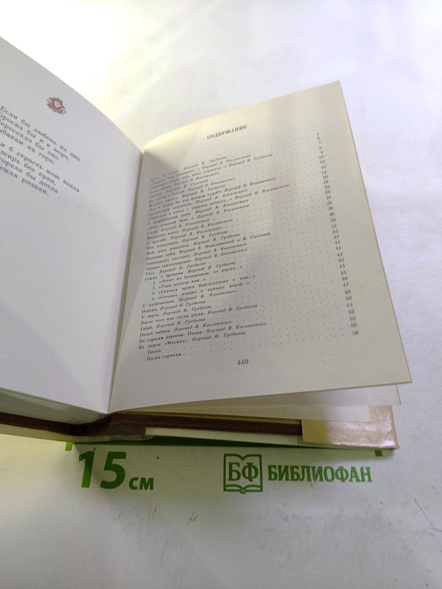 Стихотворения Расула Гамзатова