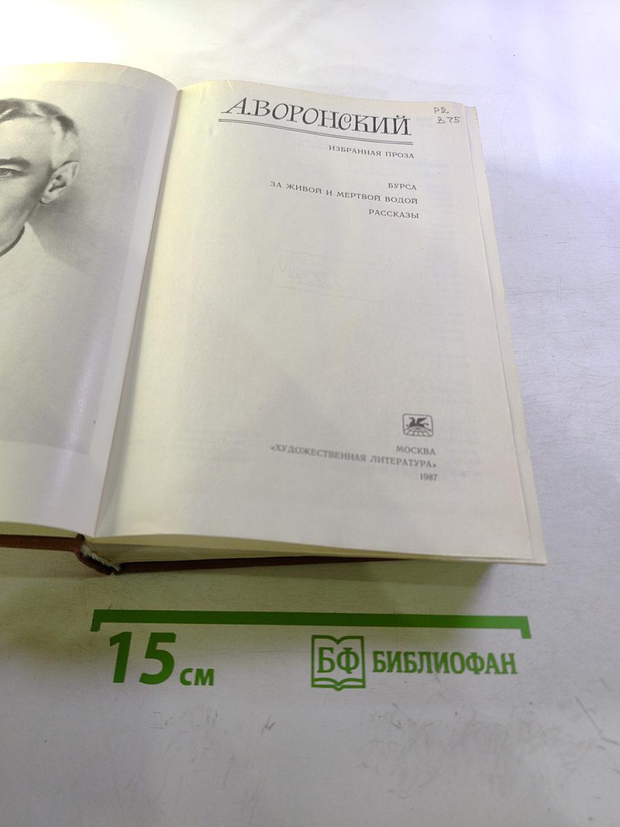 Избранная проза