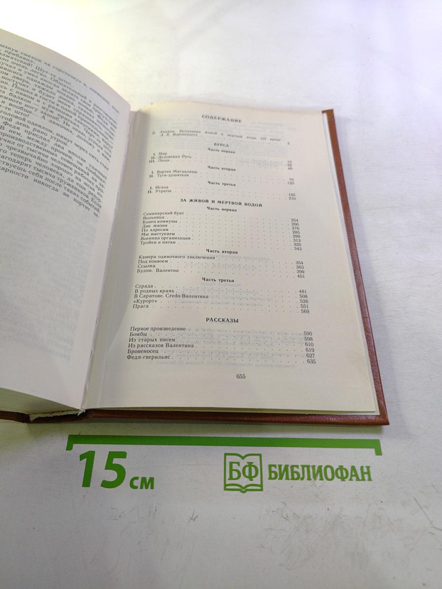 Избранная проза