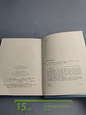 В Глухую Полночь