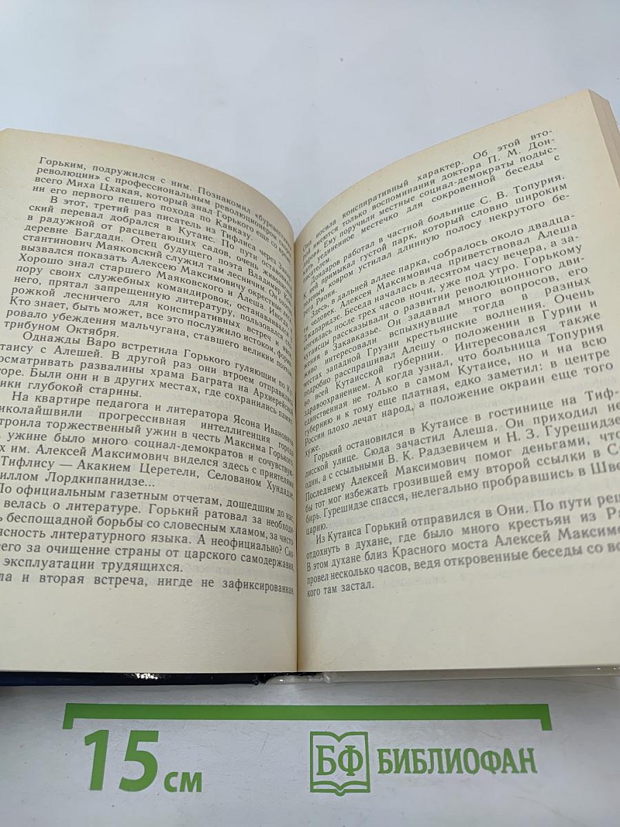 Высокое стремленье